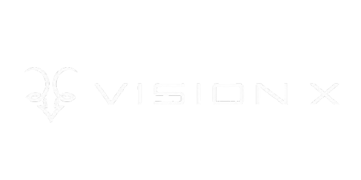 VisionX